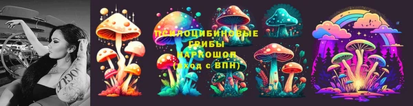 соль курить ск Алексеевка