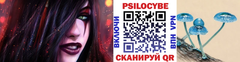 где купить   Нолинск  Галлюциногенные грибы Psilocybe 